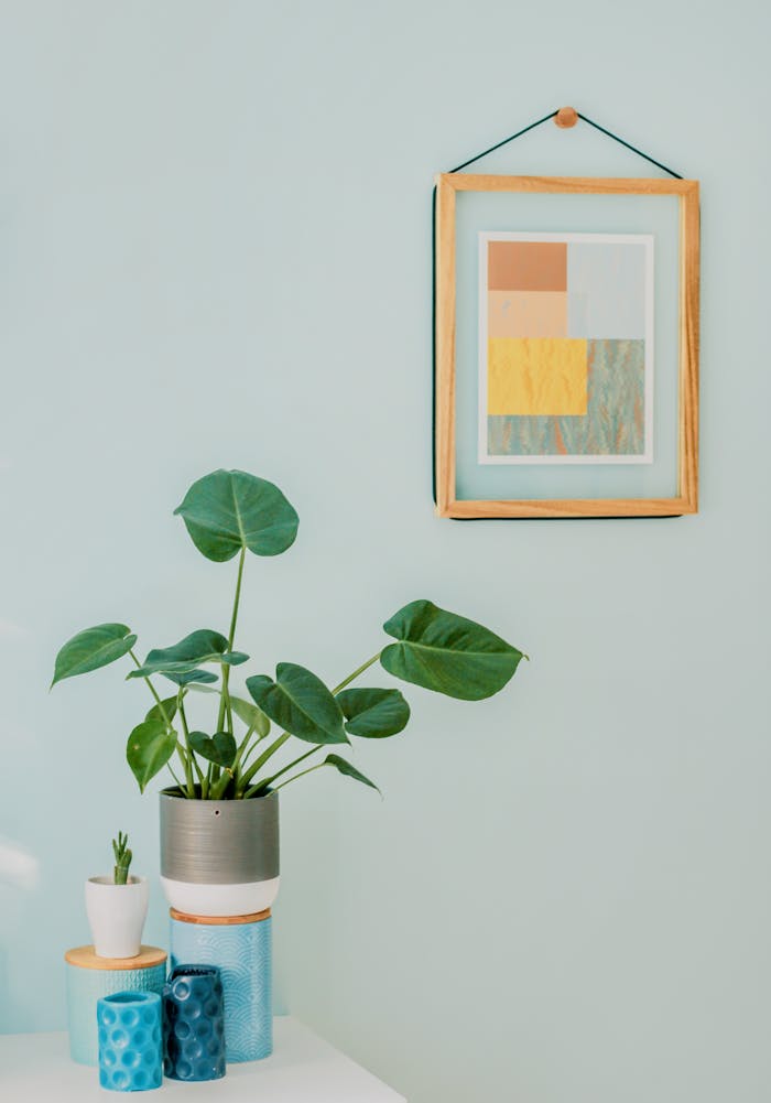about-04 A minimalist interior with a Monstera plant, framed abstract art, and home decor elements.